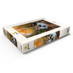 Darstellung des Puzzle Motivs Kaskadenbach im Herbstwald - Puzzleteile: 1000