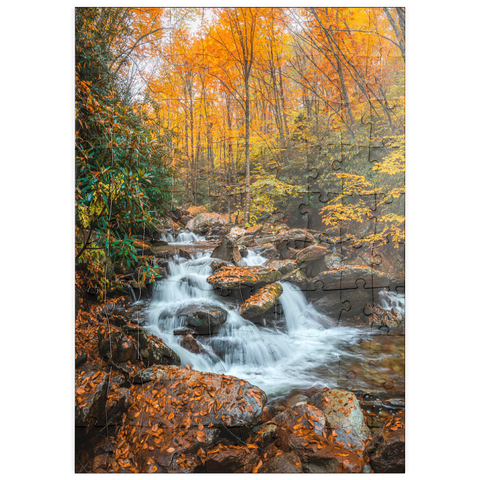 puzzleplate Cascading Stream in Autumn Forest 100 Puzzle