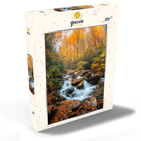 Cascading Stream in Autumn Forest 200 Puzzle Schachtel Ansicht2