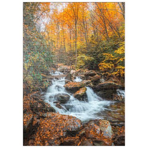 puzzleplate Cascading Stream in Autumn Forest 200 Puzzle