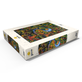Darstellung des Puzzle Motivs Kurvenreiche Straße durch dichten Herbstwald - Puzzleteile: 1000