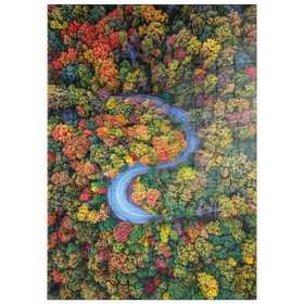 Darstellung des Puzzle Motivs Kurvenreiche Straße durch dichten Herbstwald - Puzzleteile: 100
