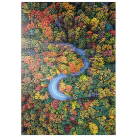 Darstellung des Puzzle Motivs Kurvenreiche Straße durch dichten Herbstwald - Puzzleteile: 200