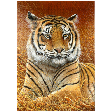 Darstellung des Puzzle Motivs Majestätischer bengalischer Tiger im goldenen Gras puzzleplate Majestic Bengal Tiger in Golden Grass 1000 Puzzle