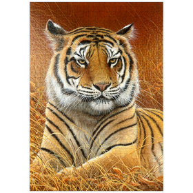 Darstellung des Puzzle Motivs Majestätischer bengalischer Tiger im goldenen Gras - Puzzleteile: 1000