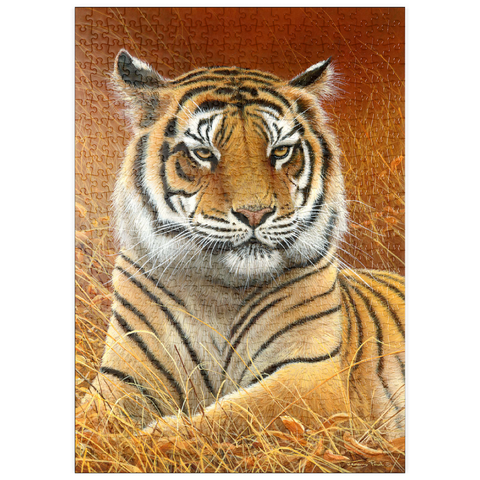 Darstellung des Puzzle Motivs Majestätischer bengalischer Tiger im goldenen Gras puzzleplate Majestic Bengal Tiger in Golden Grass 500 Puzzle