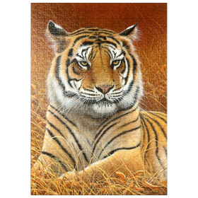 Darstellung des Puzzle Motivs Majestätischer bengalischer Tiger im goldenen Gras - Puzzleteile: 500