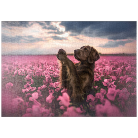 Darstellung des Puzzle-Motivs Brauner-Labrador im blühenden rosa Feld – Puzzleteile: 1000