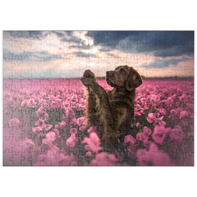 Darstellung des Puzzle-Motivs Brauner-Labrador im blühenden rosa Feld – Puzzleteile: 200