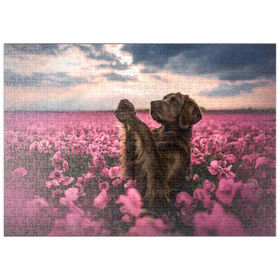 Darstellung des Puzzle-Motivs Brauner-Labrador im blühenden rosa Feld – Puzzleteile: 500