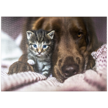 puzzleplate Kitten and Dog Resting Together 1000 Puzzle