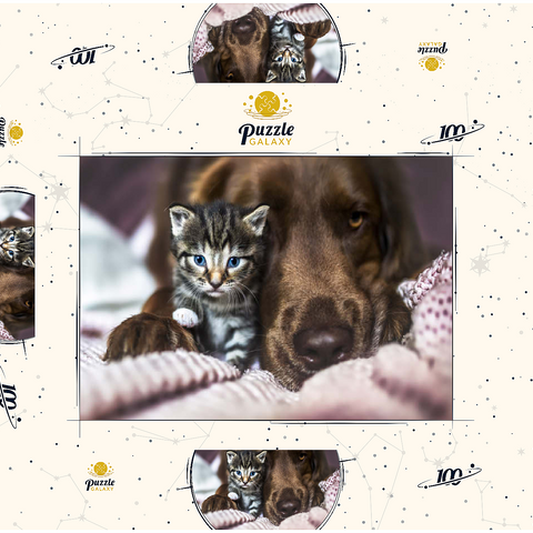 Kitten and Dog Resting Together 100 Puzzle Schachtel 3D Modell