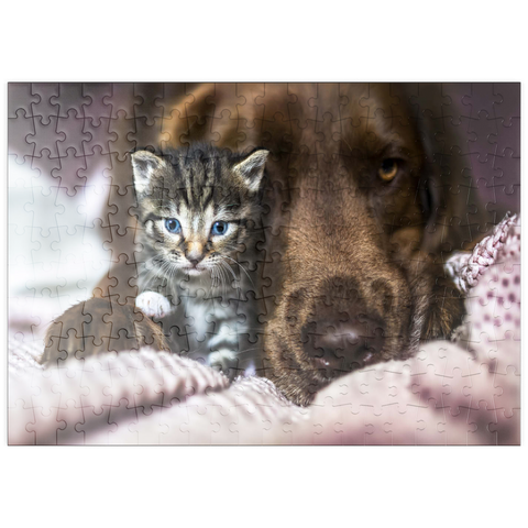 puzzleplate Kitten and Dog Resting Together 200 Puzzle
