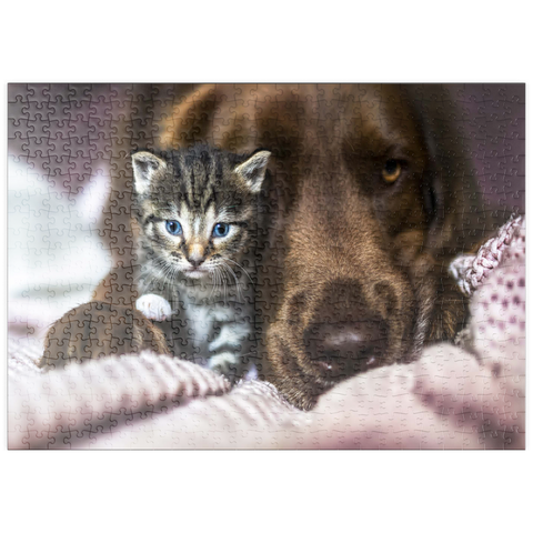 puzzleplate Kitten and Dog Resting Together 500 Puzzle