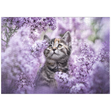 puzzleplate Kitten Among Blooming Lilac Flowers 1000 Puzzle