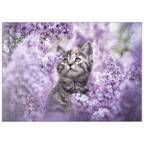puzzleplate Kitten Among Blooming Lilac Flowers 200 Puzzle