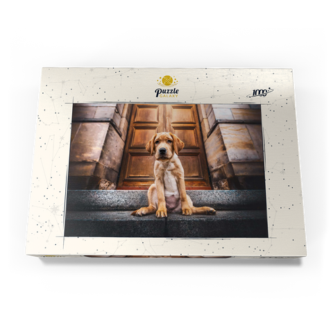 Golden Labrador Puppy on Stone Steps 1000 Puzzle Schachtel Ansicht3