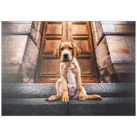 Darstellung des Puzzle-Motivs Goldener Labrador-Welpe auf Steintreppe – Puzzleteile: 1000