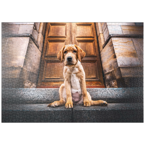 puzzleplate Golden Labrador Puppy on Stone Steps 1000 Puzzle