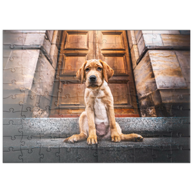 Darstellung des Puzzle Motivs Goldener Labrador-Welpe auf Steintreppe - Puzzleteile: 100