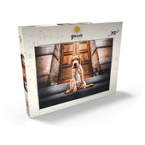 Golden Labrador Puppy on Stone Steps 200 Puzzle Schachtel Ansicht2