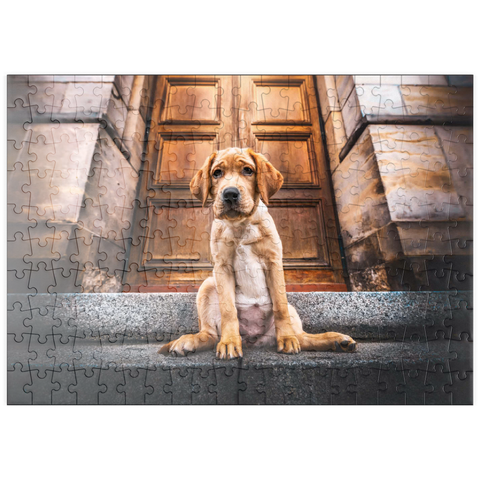 puzzleplate Golden Labrador Puppy on Stone Steps 200 Puzzle