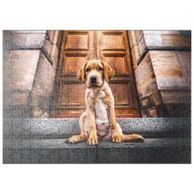 Darstellung des Puzzle Motivs Goldener Labrador-Welpe auf Steintreppe - Puzzleteile: 200