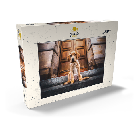 Golden Labrador Puppy on Stone Steps 500 Puzzle Schachtel Ansicht2