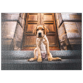 Darstellung des Puzzle Motivs Goldener Labrador-Welpe auf Steintreppe - Puzzleteile: 500