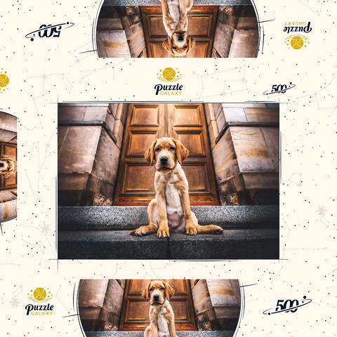 Golden Labrador Puppy on Stone Steps 500 Puzzle Schachtel 3D Modell