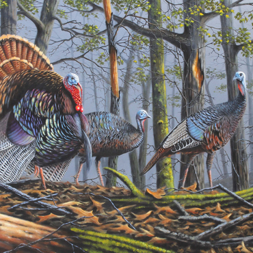 Darstellung des Puzzle Motivs Wild Eastern Turkeys in Foggy Woodland 1000 Puzzle 3D Modell