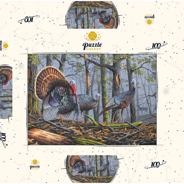 Darstellung des Puzzle Motivs Wild Eastern Turkeys in Foggy Woodland 100 Puzzle Schachtel 3D Modell