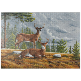 Darstellung des Puzzle Motivs Warnung Weißwedelhirsche in herbstlichen Kiefernwäldern - Puzzleteile: 1000