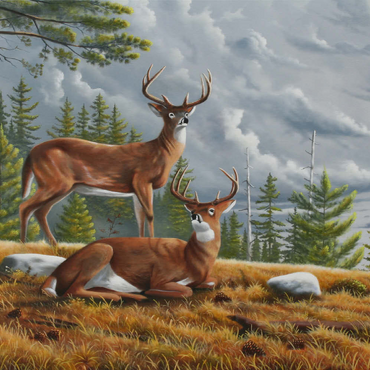 Darstellung des Puzzle Motivs Alert White-Tailed Deer in Autumn Pines 100 Puzzle 3D Modell