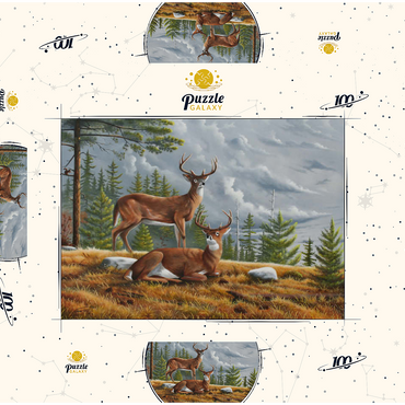 Darstellung des Puzzle Motivs Alert White-Tailed Deer in Autumn Pines 100 Puzzle Schachtel 3D Modell