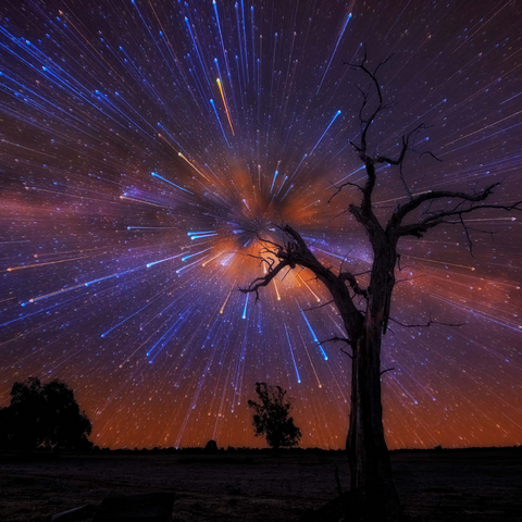 Darstellung des Puzzle Motivs Strahlender Sternenhimmel über einem einsamen Baum bei Nacht Radiant Starburst Sky over Lone Tree at Night 1000 Puzzle 3D Modell