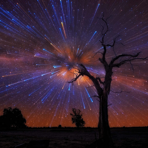 Darstellung des Puzzle Motivs Strahlender Sternenhimmel über einem einsamen Baum bei Nacht Radiant Starburst Sky over Lone Tree at Night 200 Puzzle 3D Modell