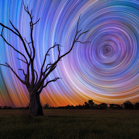 Darstellung des Puzzle Motivs Sternspuren über Lone Tree – Kosmischer Nachthimmel Star Trails Over Lone Tree – Cosmic Night Sky 1000 Puzzle 3D Modell