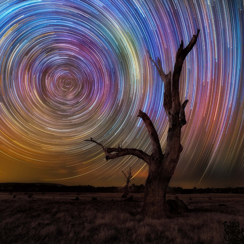 Darstellung des Puzzle Motivs Bunte Sternspuren über einem kahlen Baum – Spirale am Nachthimmel Colorful Star Trails Above Barren Tree – Night Sky Spiral 1000 Puzzle 3D Modell