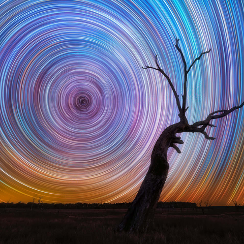 Darstellung des Puzzle Motivs Lebhafte Sternspuren über einem Baum im australischen Outback Vibrant Star Trails Over Australian Outback Tree 200 Puzzle 3D Modell