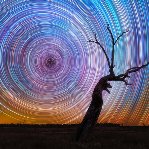Darstellung des Puzzle Motivs Lebhafte Sternspuren über einem Baum im australischen Outback Vibrant Star Trails Over Australian Outback Tree 500 Puzzle 3D Modell