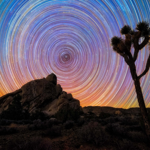 Darstellung des Puzzle Motivs Joshua Tree unter spiralförmigen Sternspuren Joshua Tree Under Spiral Star Trails 200 Puzzle 3D Modell