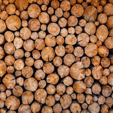 Darstellung des Puzzle Motivs Stacked Firewood Logs with Natural Texture 1000 Puzzle 3D Modell