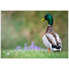 Darstellung des Puzzle-Motivs Stockente auf einer Frühlingswiese mit Blumen – Puzzleteile: 1000
