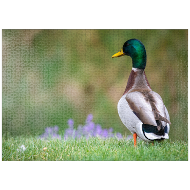 Darstellung des Puzzle Motivs puzzleplate Mallard Duck on Spring Meadow with Flowers 1000 Puzzle