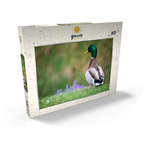Darstellung des Puzzle Motivs Stockente auf einer Frühlingswiese mit Blumen Mallard Duck on Spring Meadow with Flowers 100 Puzzle Schachtel Ansicht2