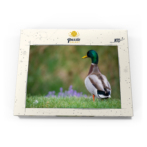Darstellung des Puzzle Motivs Stockente auf einer Frühlingswiese mit Blumen Mallard Duck on Spring Meadow with Flowers 100 Puzzle Schachtel Ansicht3