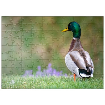 Darstellung des Puzzle Motivs puzzleplate Mallard Duck on Spring Meadow with Flowers 100 Puzzle