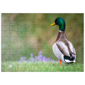 Darstellung des Puzzle Motivs Stockente auf einer Frühlingswiese mit Blumen - Puzzleteile: 100