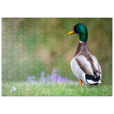 Darstellung des Puzzle Motivs puzzleplate Mallard Duck on Spring Meadow with Flowers 200 Puzzle